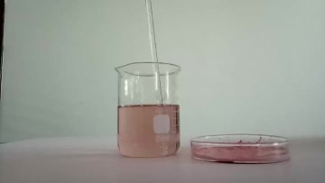 strawberry powder