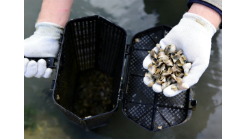 Hexagon plastic oyster cage for commercial farming