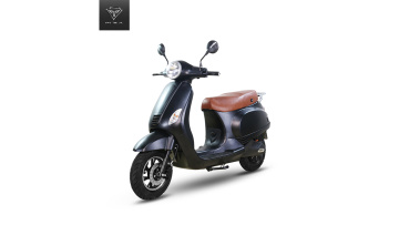 Electric Motorcycle Mobility Moped Scooter 