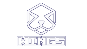 Shandong Wings Heavy Machinery Co.,Ltd