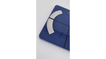 smart scale blue one