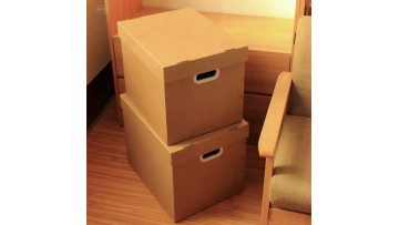 Carton video