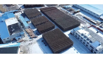 Factory Production Line