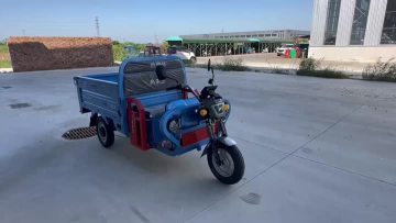 three wheel electric vehicle