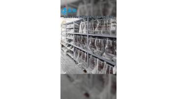 d88ca5c8a29979da01411421416f2254