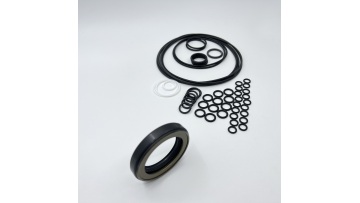Hydraulic Pump Repair Kit20
