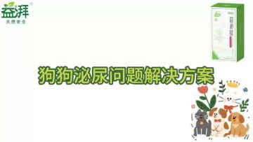 Pet Urinary Tract Supplements dog