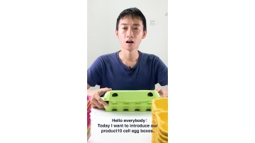 8 cell biodegradable molded cheap cardboard empty egg boxes cartons for sale1