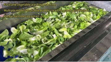Bubble washing machine Vegetable Washing machine