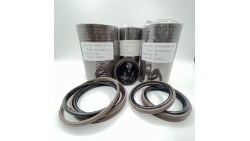 Special Seal For Spgo Piston Seal