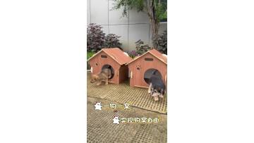 Zhejiang Daruis Home Furnishing Co., Ltd.