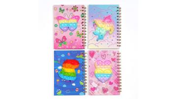notebook video1