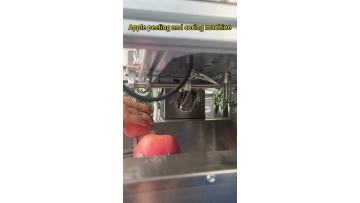 Apple peeling and coring machine Fruit processing