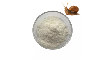 Snail slime protein powder