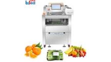 Vegetable Cling Wrap Sealer Automatic Cling Film Wrapping Machine Stretch Film Meat Foods Packaging Machine1