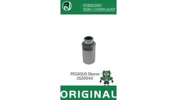PEGASUS 2620040