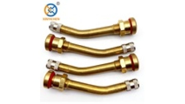 Brass Truck Bus Tire Valves Reecheng v3-20-101
