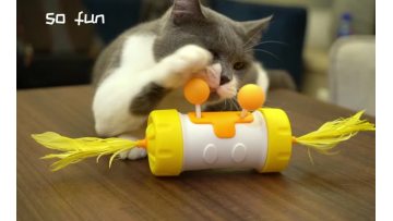 funny cat toys Magic Wheel