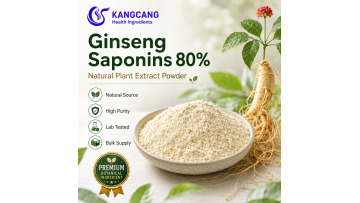 Panax Ginseng Extract 80% Ginsenosides Powder