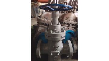Slab gate valve.mp4