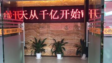 Biodegradable eco friendly sugarcane fiber molded pulp packaging insert1