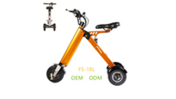 FS-18L three wheels electric bike adult tricycle