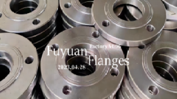 flanges we product