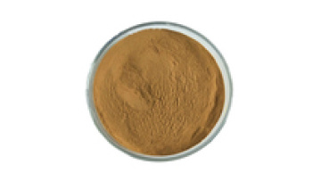 Youth Chinese Supplier Wholesale Cissus Quadrangularis Extract Powder1