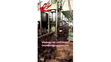 Briquetting press 1