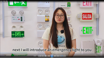 two spots led emergency light