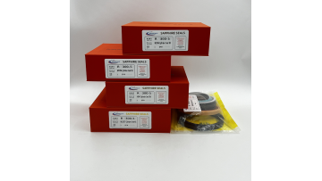 R 300-5 Hydraulic seal repair kit