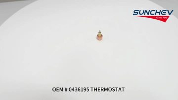 0436195 THERMOSTAT 