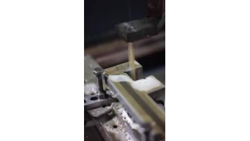 ZXS Seals (1)
