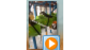eaa4e4a5113e041f3ea1beae508d341a