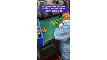 Video 6