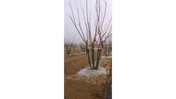mulch film with holes