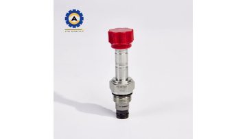 check  valve