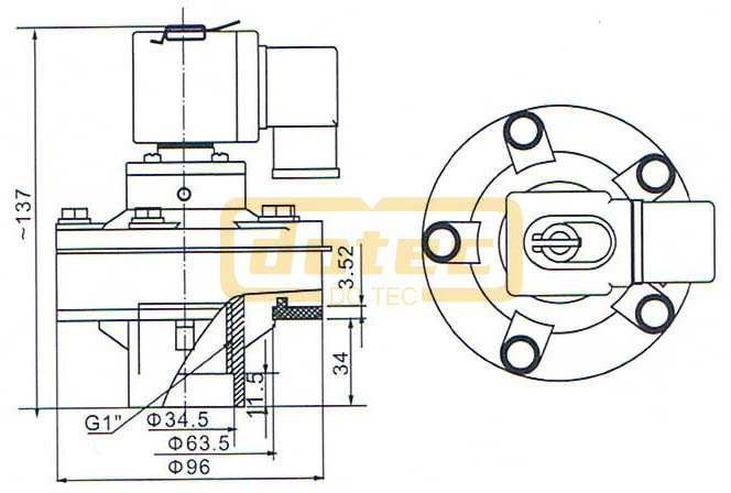 Dmf Y 25