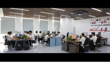 Company video