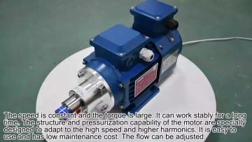 0.07cc Gear pump