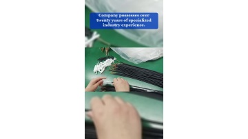 Video 1