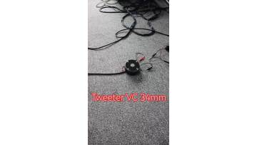 34-core audition of tweeter