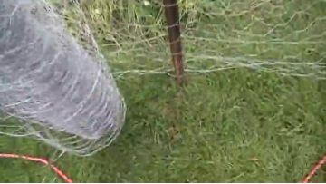 34 Inch Small Hole Hexagon Chicken Wire Fence Lowest Price Galvanized Wire Mesh1