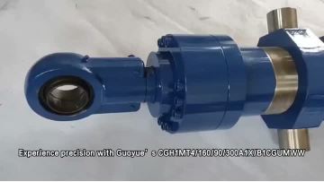 CGH1MT4/160/90/300A1X/B1CGUMWW Double-acting Dual Rod Metallurgical Hydraulic Cylinder