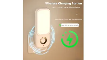 Dusk to Dawn Smart Outdoor Wall Light with Sensor1