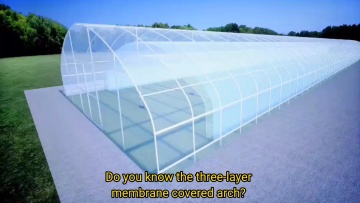Low cost tunnel green house plastic film strawberry tomato agriculture single-span greenhouse for sale1