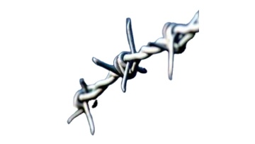 Barbed Wire1