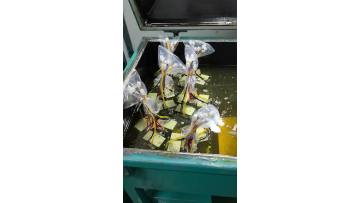 Transformer production