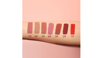 Wholesale Lip Gloss LOW MOQ Red Pink NUDE Matte Mini Liquid Lipstick Set1