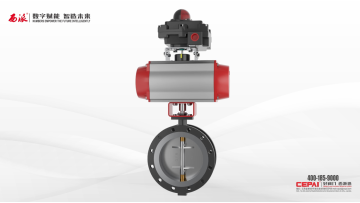 lined fluorine control valve